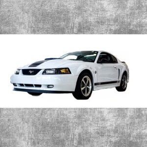 1999-2004 Mustang 3.8L V6