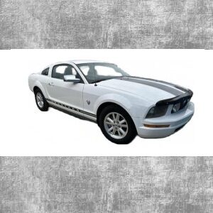 2005-2010 Mustang 4.0L V6