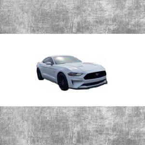 2018+ Mustang 2.3L Ecoboost